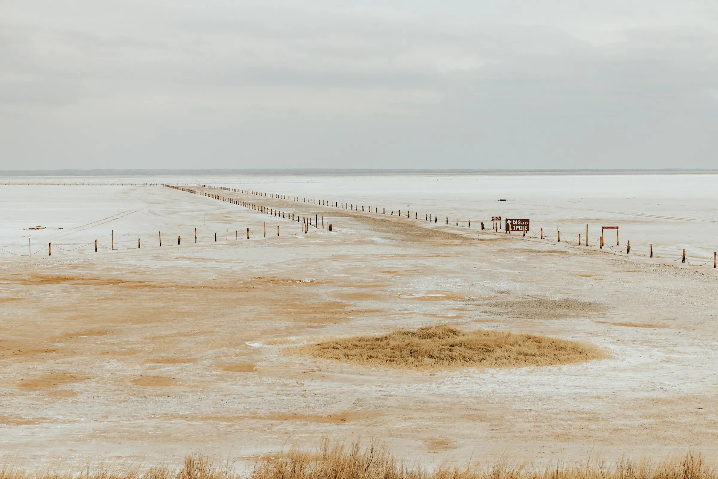 A track across a frozen flat, fence posts running to the horizon and one hut beside them.